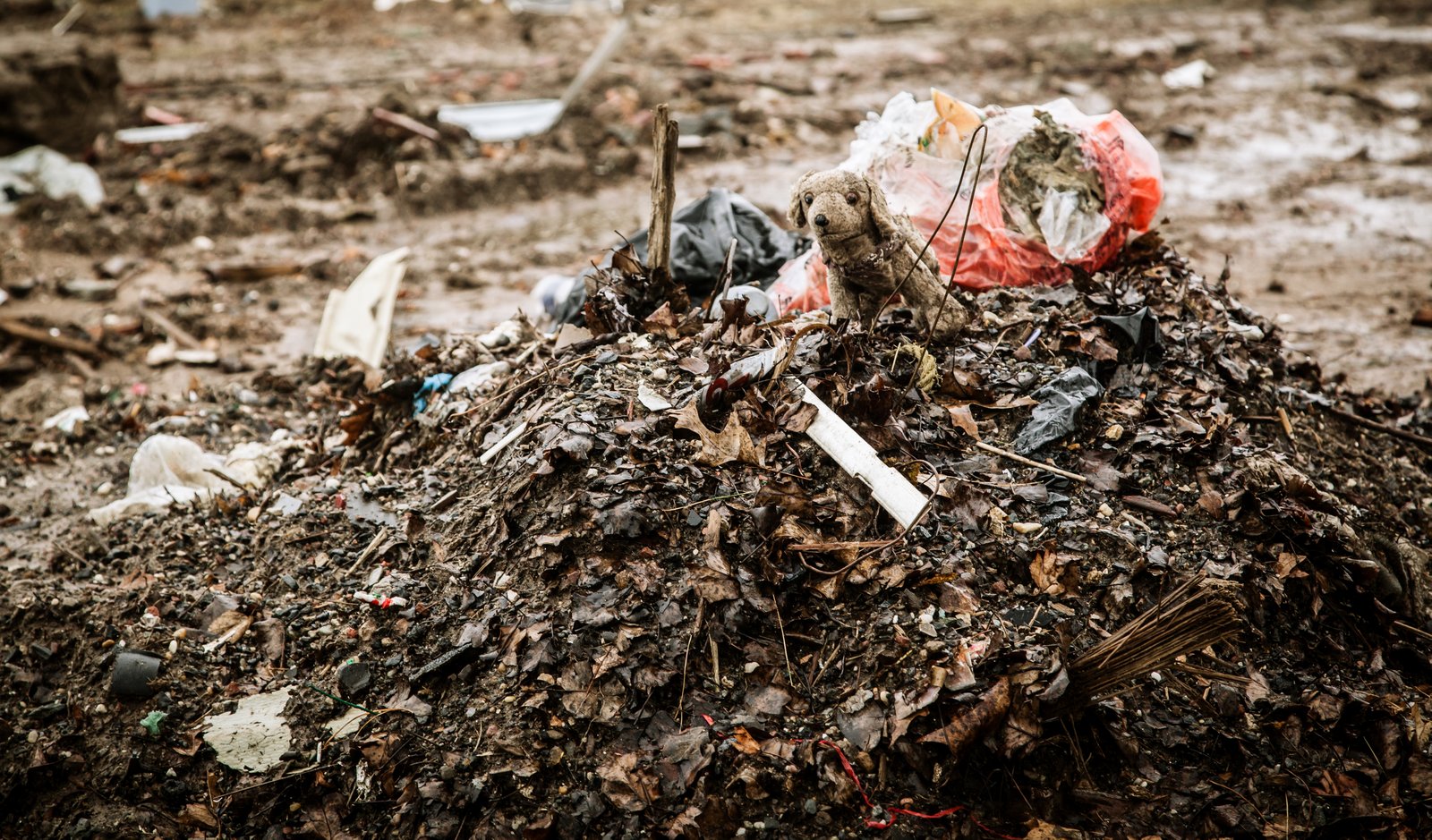 art-of-sandy-mo-staten island 2-24.jpg